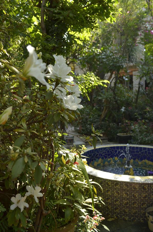 Bed and Breakfast Casa De Las Flores Tlaquepaque Екстер'єр фото