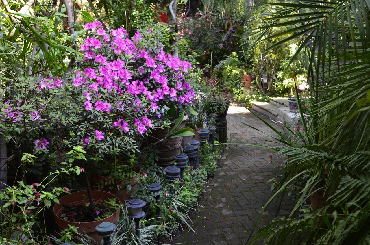Bed and Breakfast Casa De Las Flores Tlaquepaque Екстер'єр фото